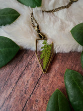 Load image into Gallery viewer, Clear Ferns with Rose Quartz
