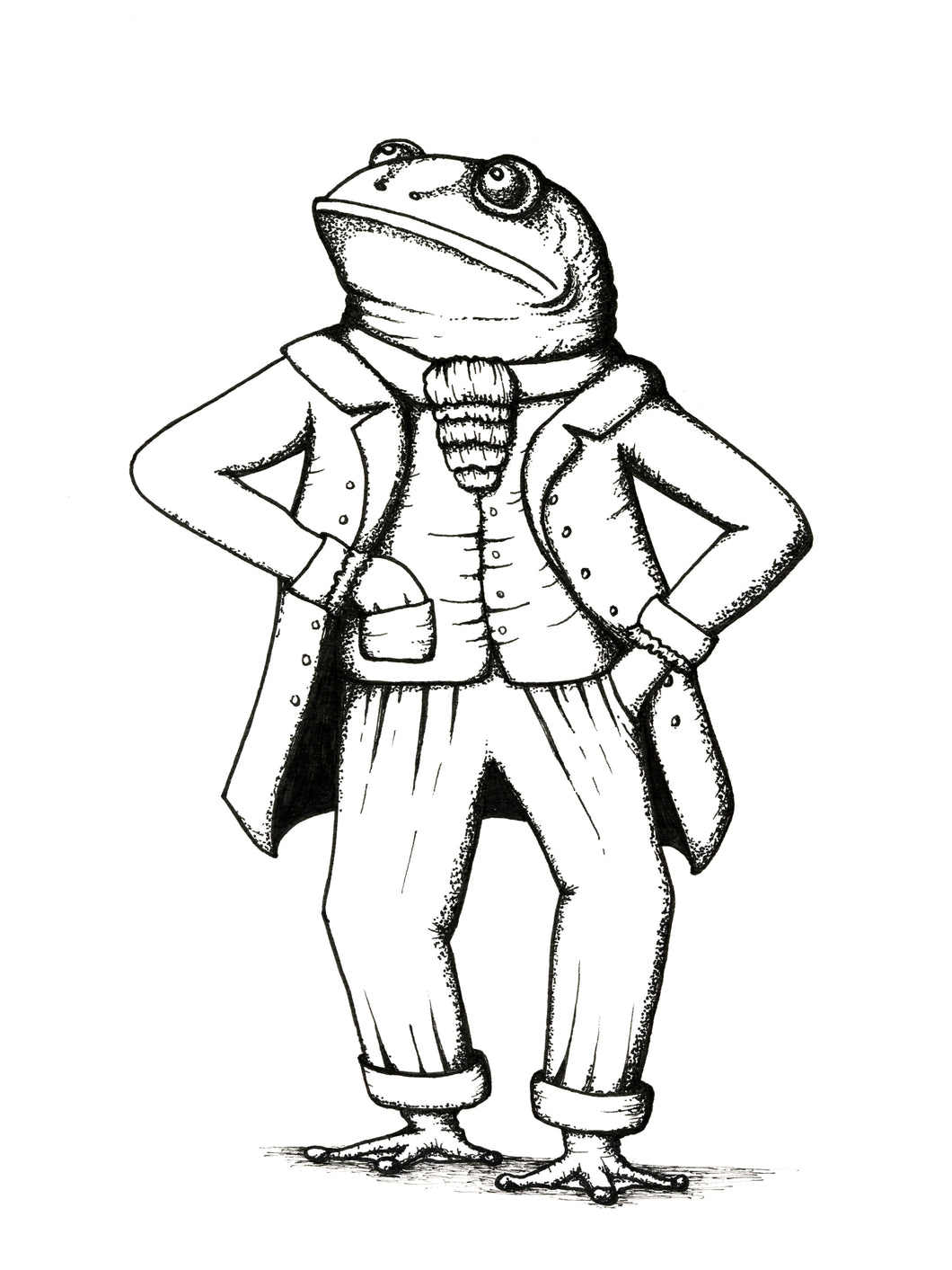 PRE-ORDER Regency Frog