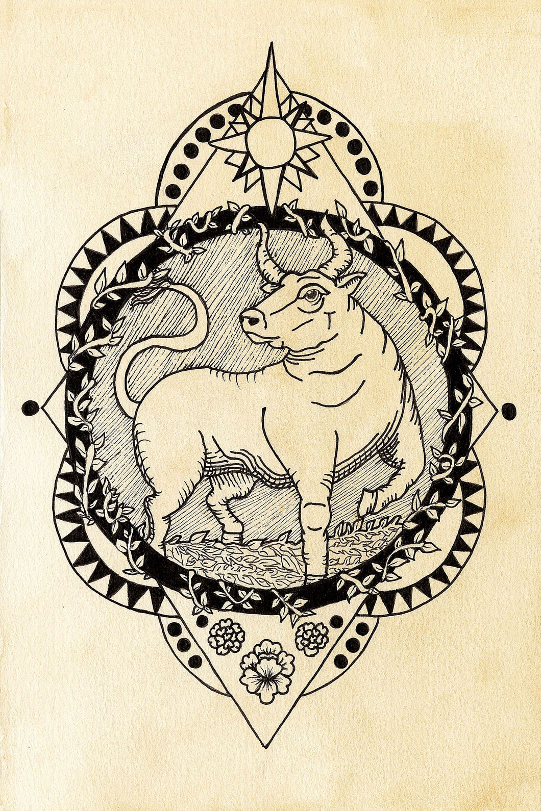 Year of the Ox
