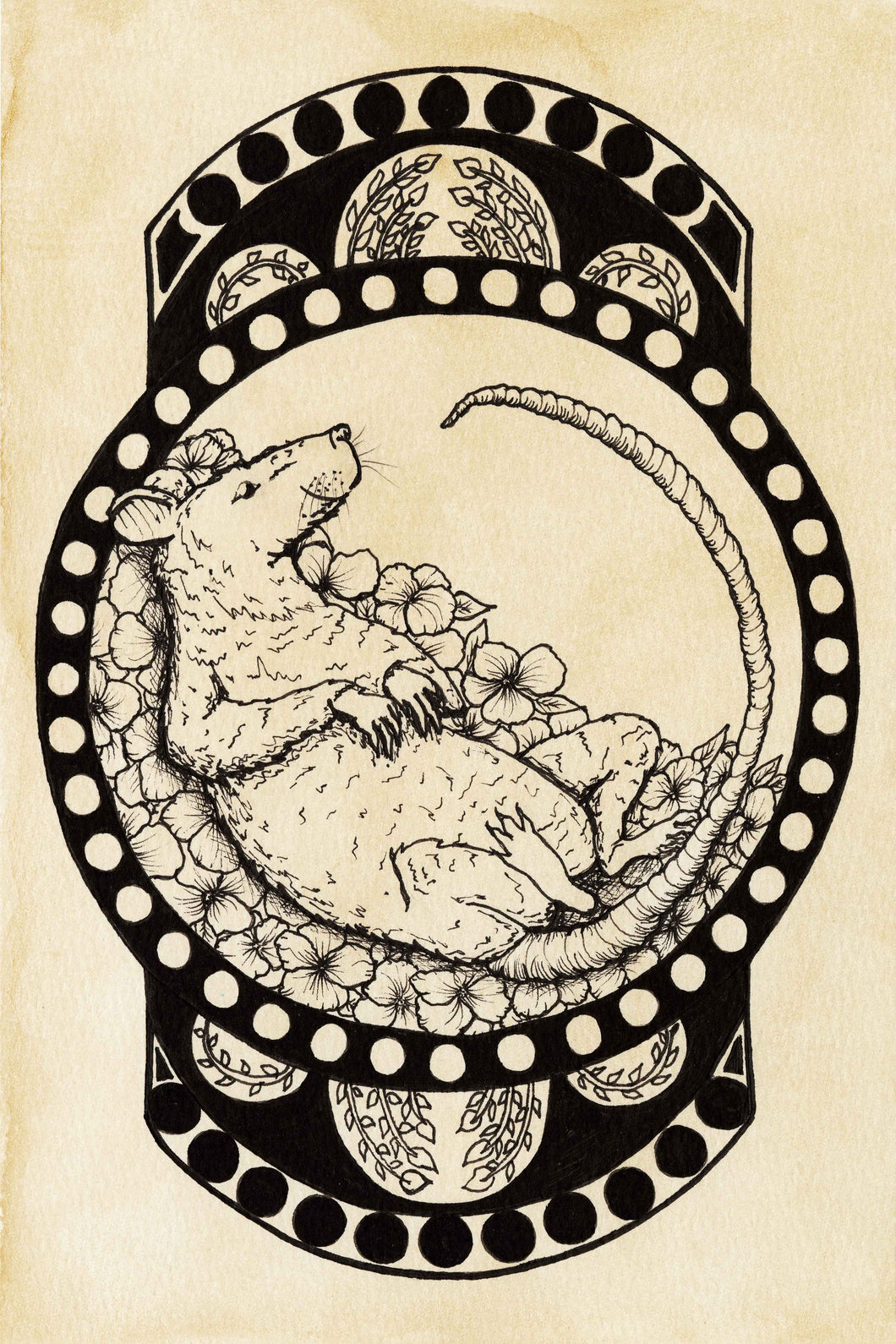 Year of the Rat