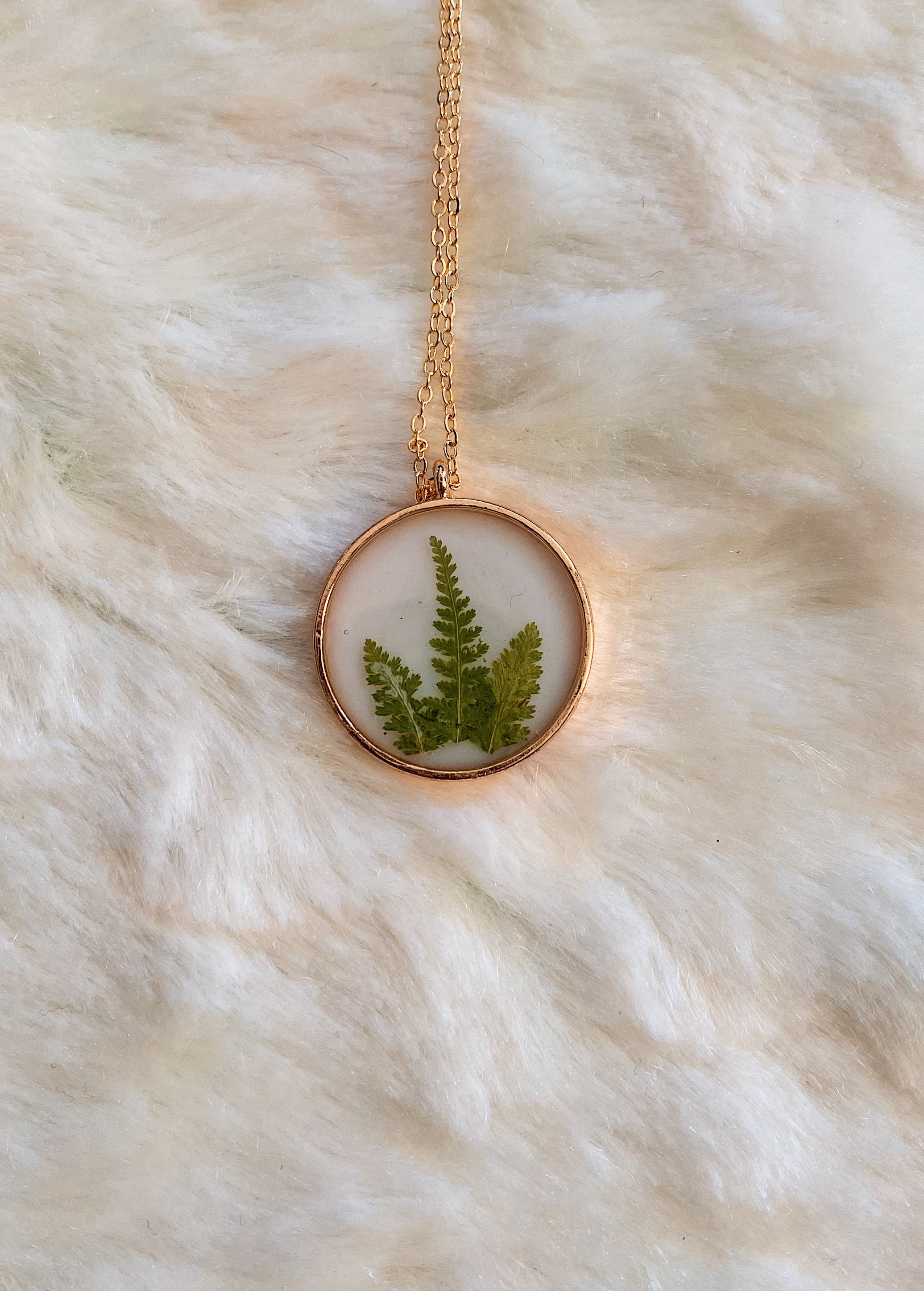 Fern on White